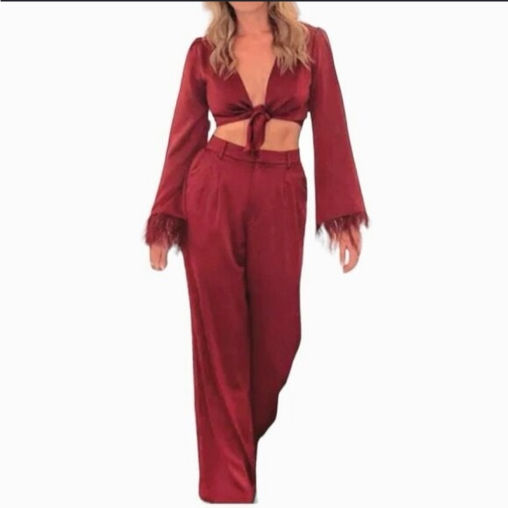Anthropologie x Wayf Burgundy tie front cropped top w/ feather sleeves TOP ONLY!